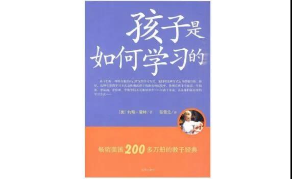 《孩子是如何学习的》谭成·读后启发